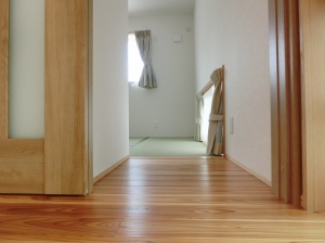 CIMG2137 (2500x1875).jpg